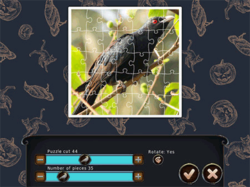 1001 Jigsaw: Black Raven screenshot 2