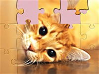 1001 Jigsaw: Cute Cats