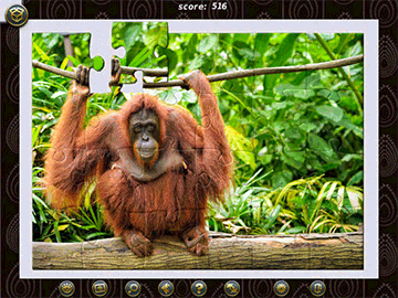 1001 Jigsaw World Tour: Africa screenshot 2