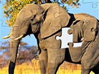 1001 Jigsaw World Tour: Africa