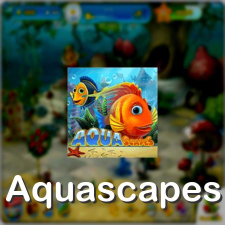 Aquascapes