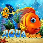 Aquascapes
