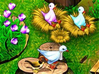 Birdies