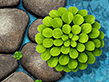 Block Rush 2