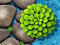Block Rush 2