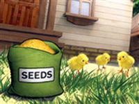 Chicken Chase