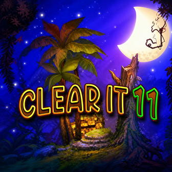 Clear It 11