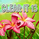 Clear It 13