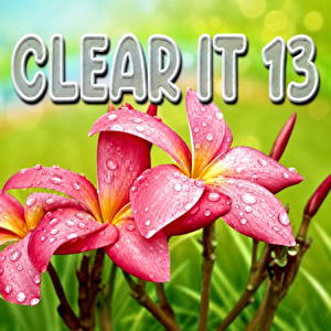 Clear It 13