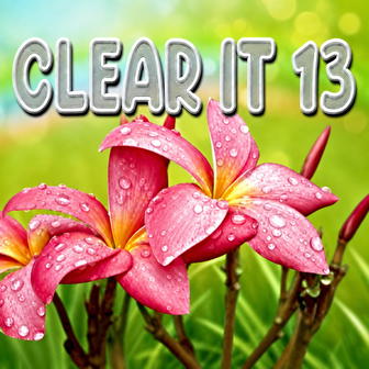 Clear It 13