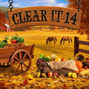 Clear It 14