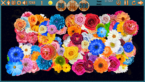Clutter 17: Flower Power screenshot 1
