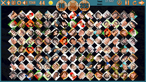 Clutter 17: Flower Power screenshot 2
