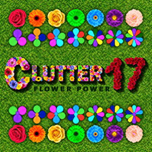 Clutter 17: Flower Power