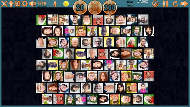Clutter 17: Flower Power screenshot 2