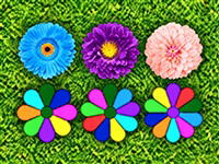 Clutter 17: Flower Power
