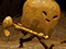 Copperbell