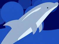 Dolphin Olympics