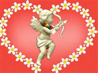 Dream Day Honeymoon