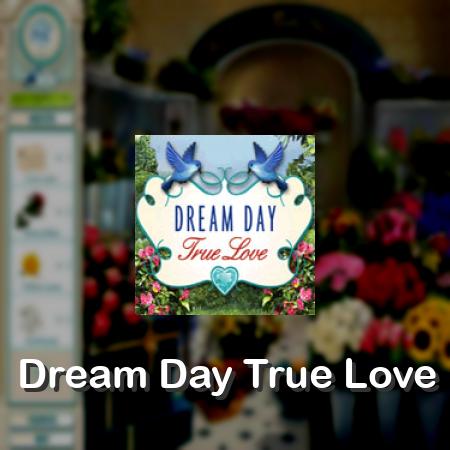 Dream Day True Love
