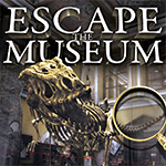 Escape the Museum