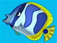 Feeding Frenzy 2: Shipwreck Showdown