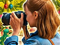 Festival Journey: Secrets of Rio