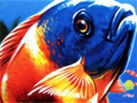 Fish Tycoon