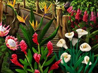 Flower Paradise