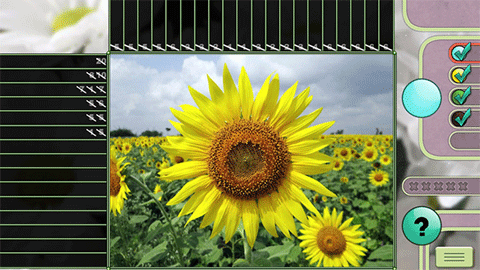 Flowers Mosaics screenshot 2