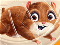Hamsterball