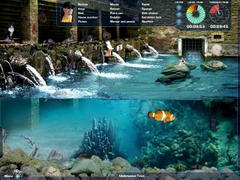 Screenshot 2 thumbnail