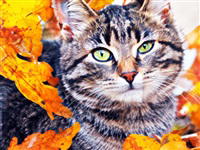 Holiday Jigsaw: Halloween 3