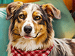Home for Friends: Loving Paws