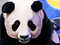 IGT Slots: 100 Pandas