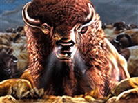 IGT Slots: 100 Wolves
