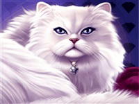 IGT Slots: Kitty Glitter