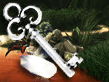 Jewel Quest Mysteries: Trail of the Midnight Heart