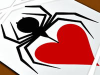 Jumping Spider