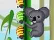 Koala vs. Bugs