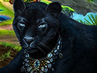 Labyrinths of the World: The Wild Side