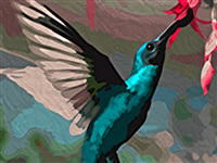 Modern Art 6