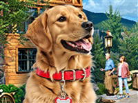 Motorhome: Traveling America