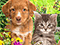 My Lovely Pets 2