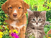 My Lovely Pets 2