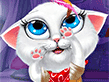 My Pretty Kitty