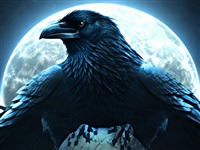 Mystery Solitaire: The Black Raven 4