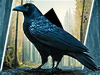 Mystery Solitaire: The Black Raven 5
