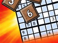 Newspaper Puzzle Challenge