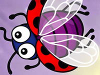 Nightflies